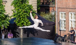 Ballet 8