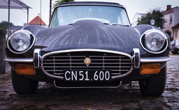 Jaguar i regn