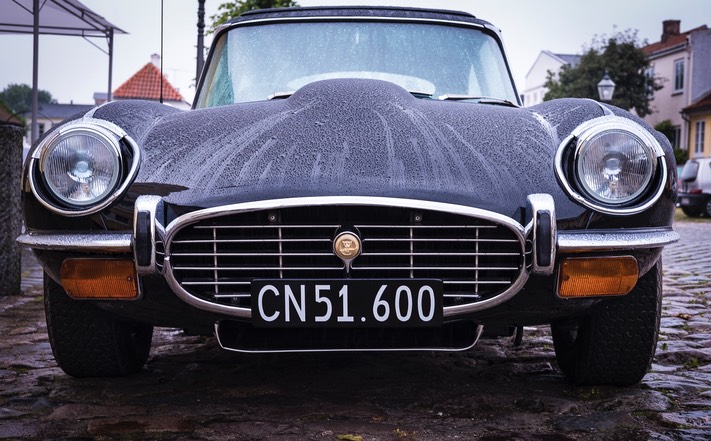 Jaguar i regn