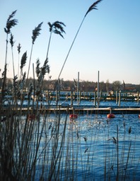 Nysø